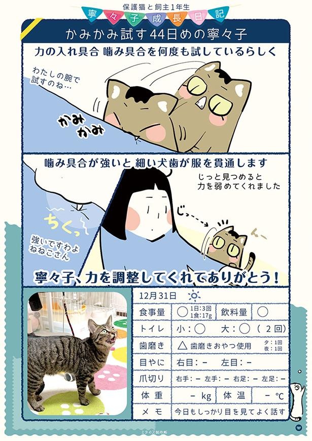 保護44日目