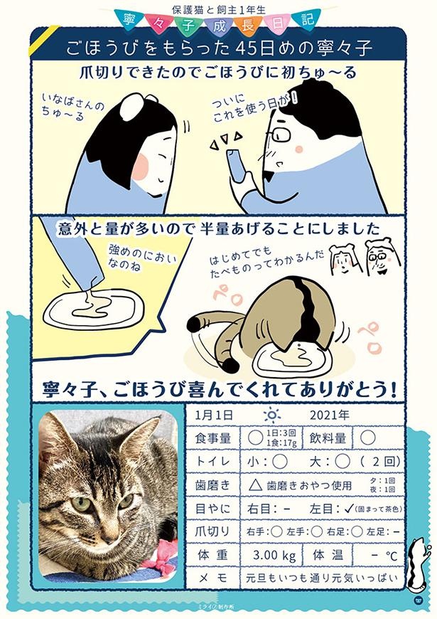 保護45日目