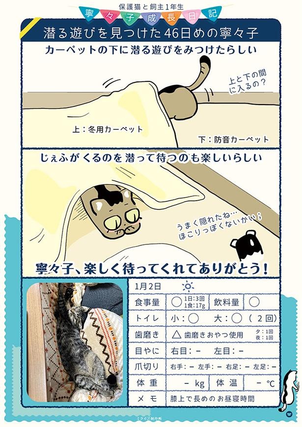 保護46日目