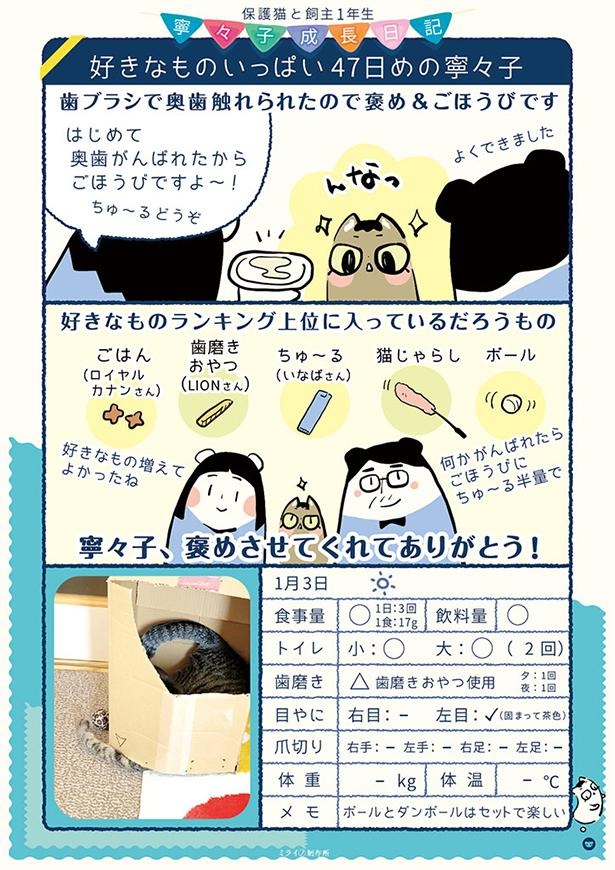 保護47日目