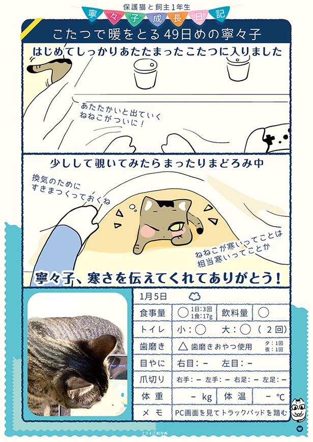 保護49日目