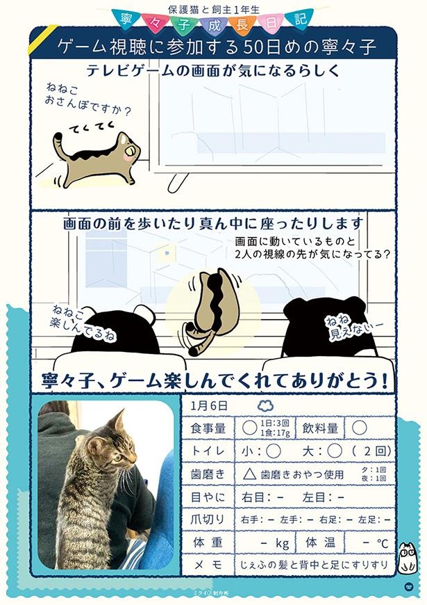 保護50日目