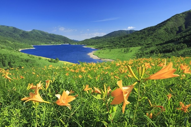群馬・長野・新潟の県境に位置し、標高2000m級の山々に囲まれた湖「野反湖(のぞりこ)」