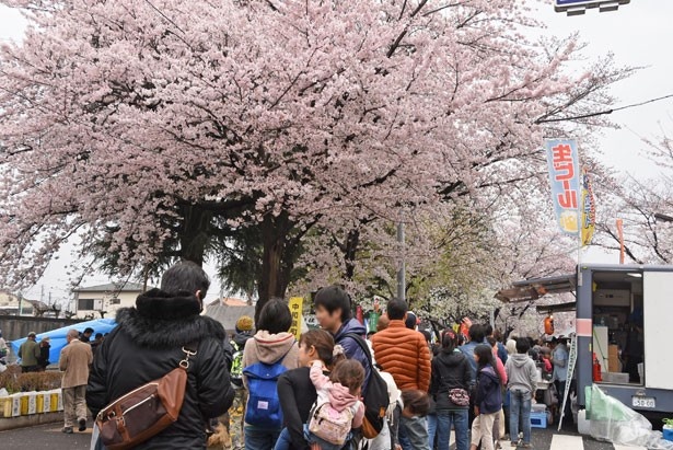 昨年は雨模様のスタートとなったが、約2万人の人出で賑わった