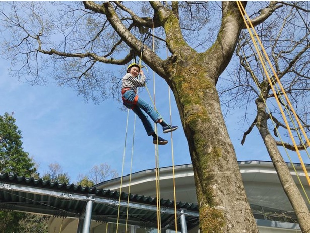 木登りツリーイング体験も人気。子供も大人も参加できる