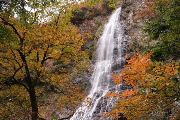 秋には、紅葉と滝のコラボレーションが見られる！