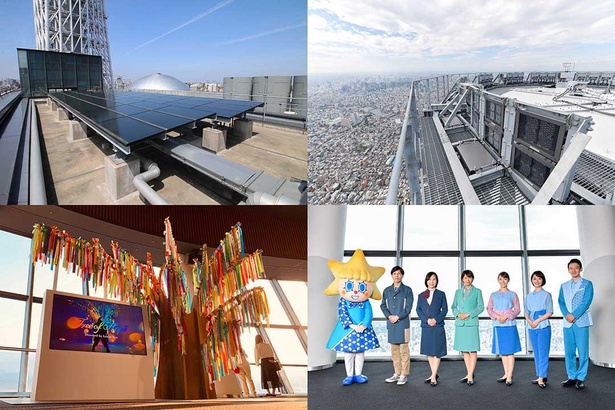 左上から太陽光発電パネルの導入(東京スカイツリータウン)、ライティング照明機器のオールLED化(東京スカイツリー)、「W1SH RIBBON DISCOVER ＆CONNECT THE WORLD」キャンペーンの推進(東京スカイツリー)、新ユニフォームに、ジェンダー平等に配慮したユニフォームデザインを採用(東京スカイツリー)