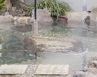 都心から2時間以内の名湯・七沢荘の天然温泉！