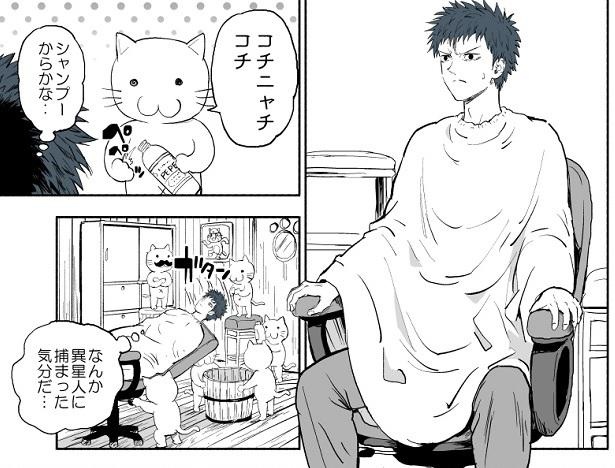 ■画像をクリックで次へ！／異世界転移したらネコだらけだった。P101