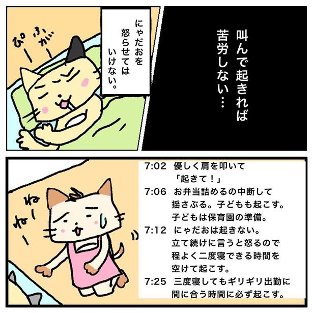 レディースねこたさん おまとめページ - llangennechafc.org