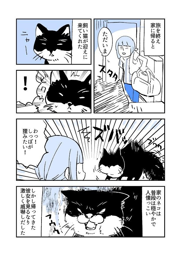 漫画 お堂で感じた 獣臭さ 帰宅すると温厚な飼い猫が飛び掛かってきて ちょっぴり怖い不思議な話に 猫ちゃん優秀すぎ の声 ウォーカープラス