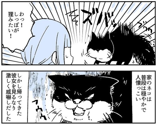 漫画 お堂で感じた 獣臭さ 帰宅すると温厚な飼い猫が飛び掛かってきて ちょっぴり怖い不思議な話に 猫ちゃん優秀すぎ の声 ウォーカープラス