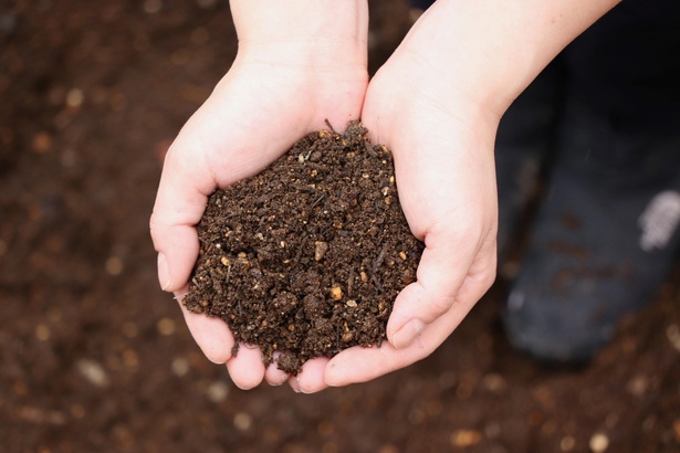 植物が育つための必要な養分をしっかりと含みつつ、通気性のあるふかふかな土に仕上がった