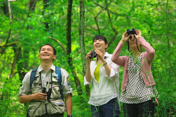 軽井沢星野エリアには、国設軽井沢野鳥の森が隣接している。エコツーリズムを実践する「ピッキオ」では、森の環境を守りながらここをフィールドにしたネイチャーツアーを行っている