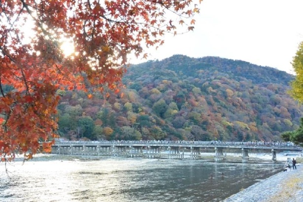 鮮やかな紅葉をバックに渡月橋が佇むさまが美しい