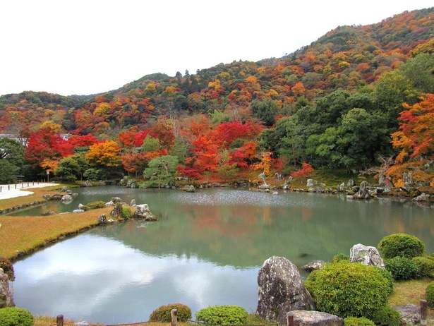 【写真】嵐山・亀山・小倉山を借景とした曹源池庭園の様子