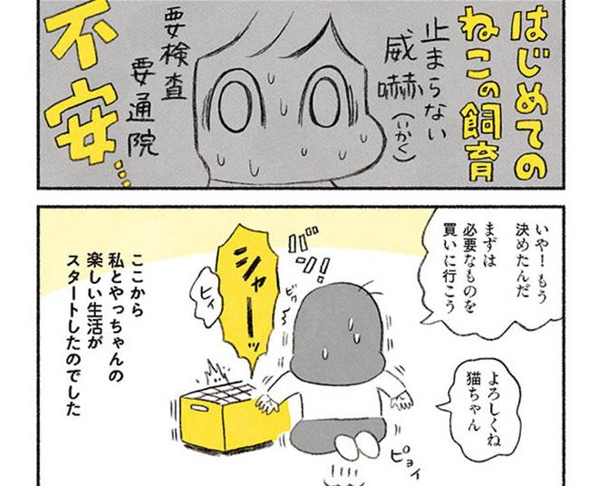 知りたい・行きたい」をかなえるニュースメディア｜ウォーカープラス