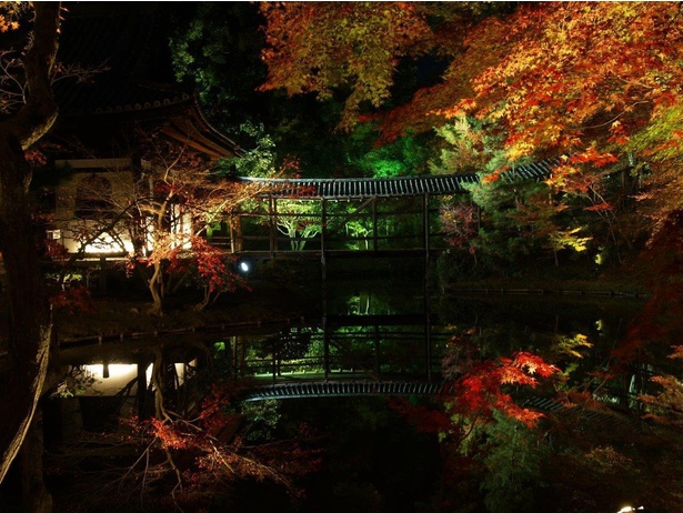 東山(高台寺) / 臥龍廊や紅葉が池に映り込む庭園美