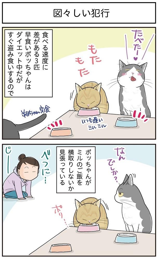 ■画像をクリックで次へ！／図々しい犯行_1