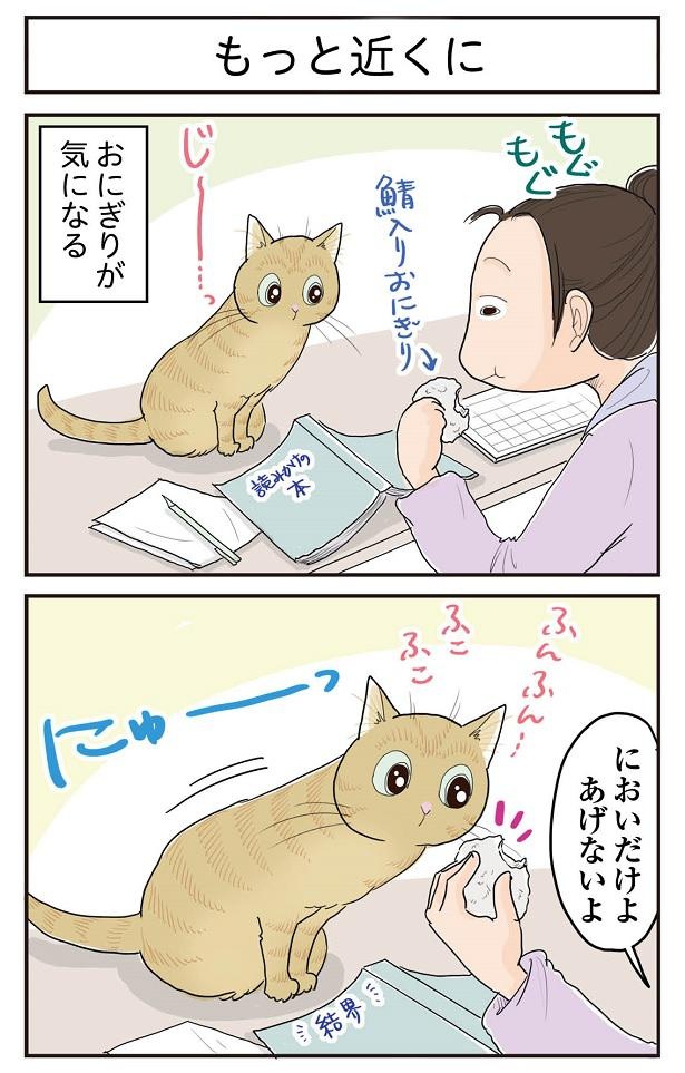 ■画像をクリックで次へ！／もっと近くに_1