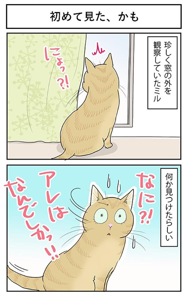 ■画像をクリックで次へ！／初めて見た、かも1