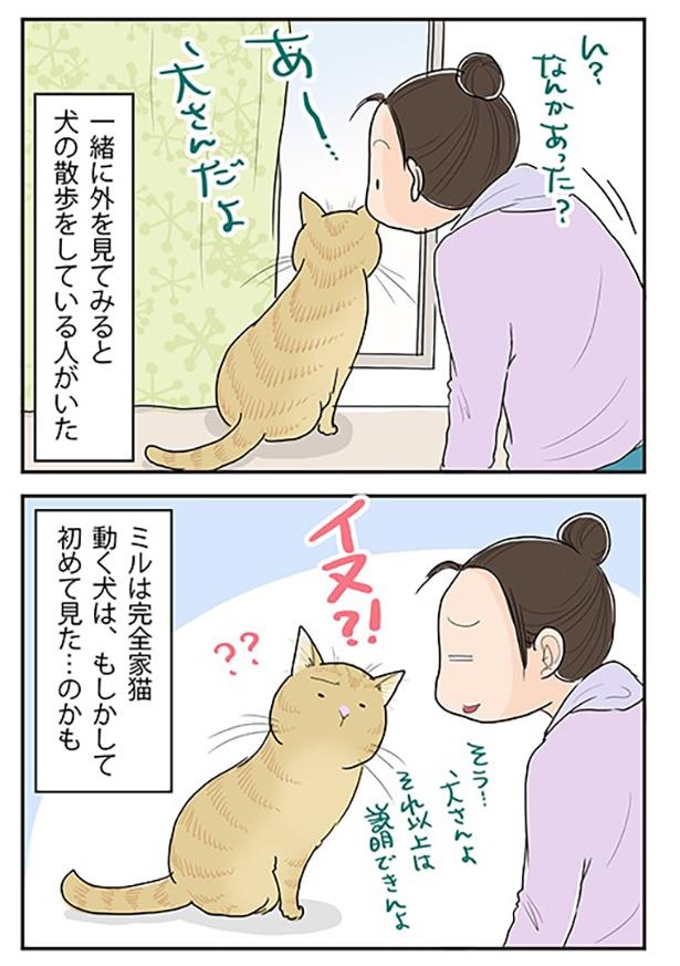 ■画像をクリックで次へ！／初めて見た、かも_2