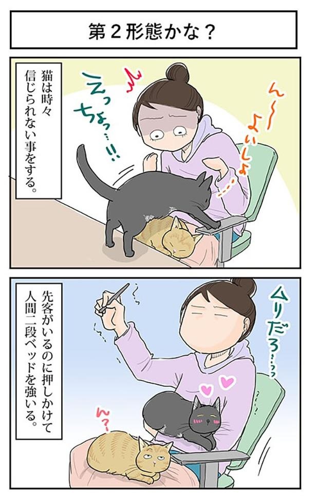 ■画像をクリックで次へ！／第2形態かな？1