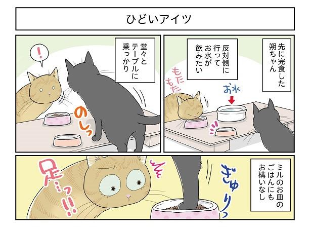 ■画像をクリックで次へ！／ひどいアイツ1