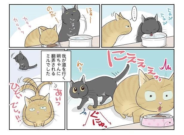 ■画像をクリックで次へ！／ひどいアイツ2