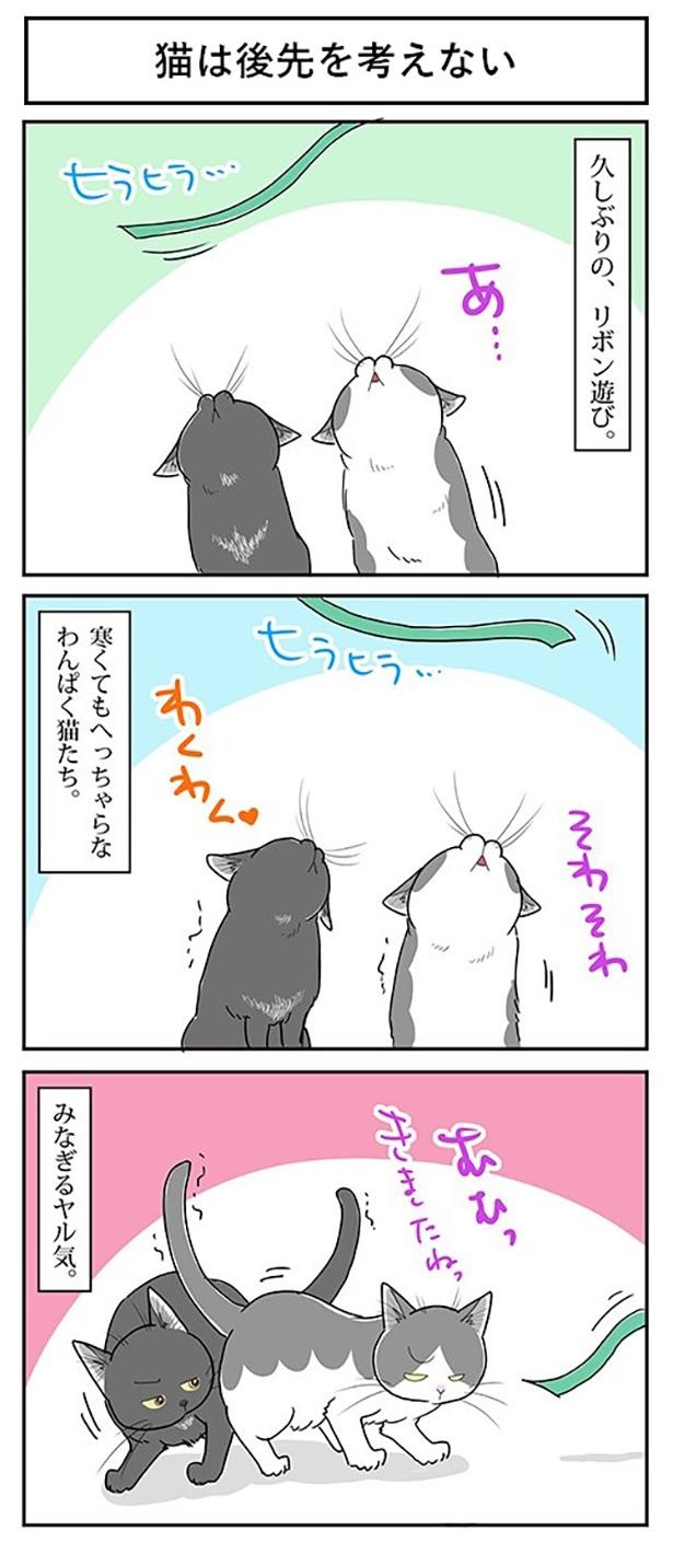 ■画像をクリックで次へ！／猫は後先を考えない_1