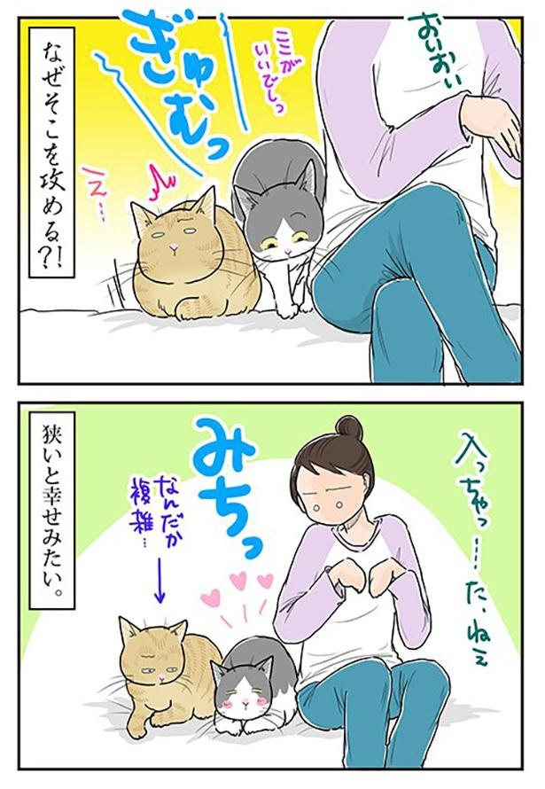 ■画像をクリックで次へ！／狭いと幸せ_3