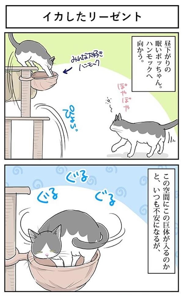■画像をクリックで次へ！／イカしたリーゼント_1