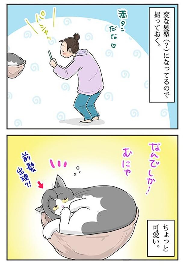 ■画像をクリックで次へ！／イカしたリーゼント_3