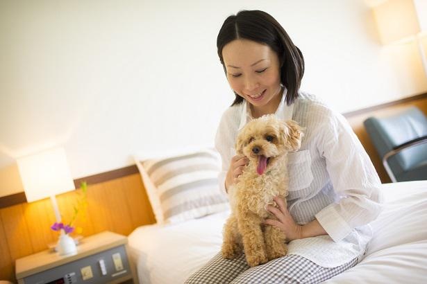 「磐梯山温泉ホテル」には、ペットOKの客室も。愛犬と一緒に宿泊ができる