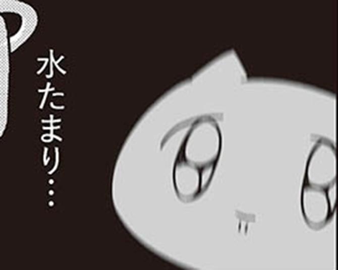 【漫画】今日の夕飯は鶏団子鍋!スーパーで材料を買って帰ったけれど…/人生は深いな