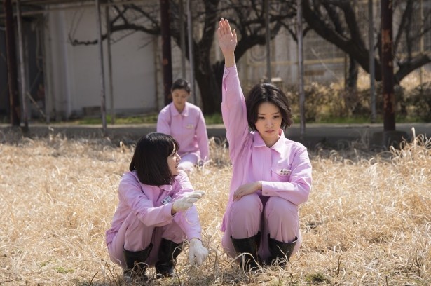 「女囚セブン」的圖片搜尋結果