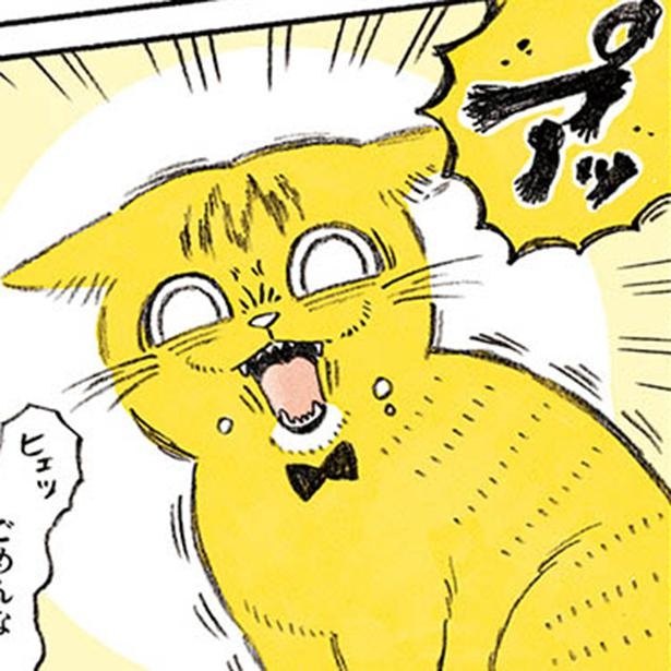 漫画 思ったより器用 まるでクリームパン 可愛らしい猫のおててから繰り出される必殺技とは 茶トラのやっちゃん 1 2 ウォーカープラス