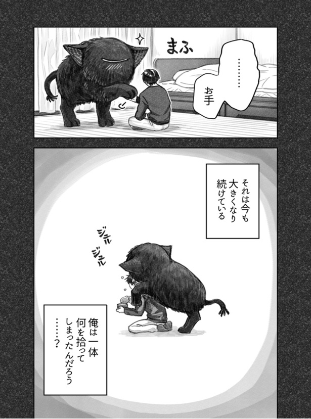 猫を拾った話。3