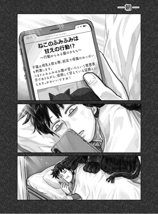 猫を拾った話。5