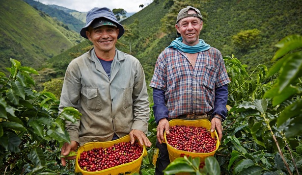 コメダで飲む1杯のコーヒーが、遠く離れたコーヒー農家の人々の笑顔につながっている