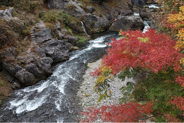 鳩ノ巣小橋から渓谷の紅葉を眺めることができる / 鳩ノ巣渓谷