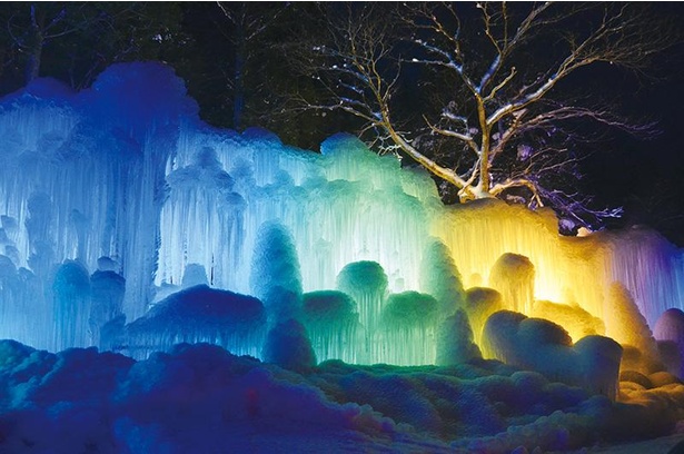 園内の木々に水を吹きかけて作る氷のオブジェ。ライトアップ時はムーディーな雰囲気に