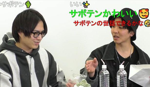 ねぎは「サボテン」をプレゼント