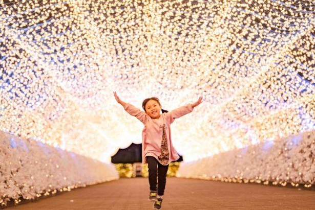 【写真】きらめきに感動！「江戸桜トンネル」