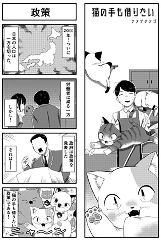 猫の手も借りたい_P01