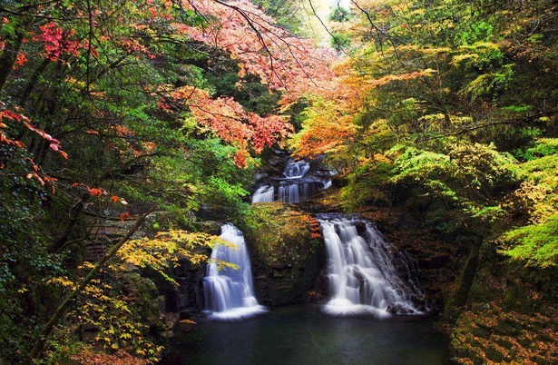 滝に紅葉が加わり、一層豊かな景観が楽しめる