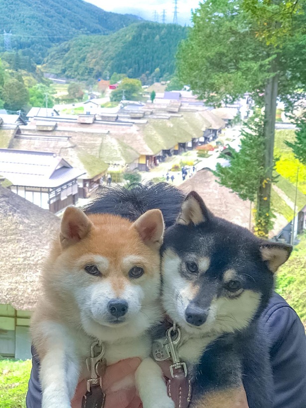 神社の高台から宿場町を一望！