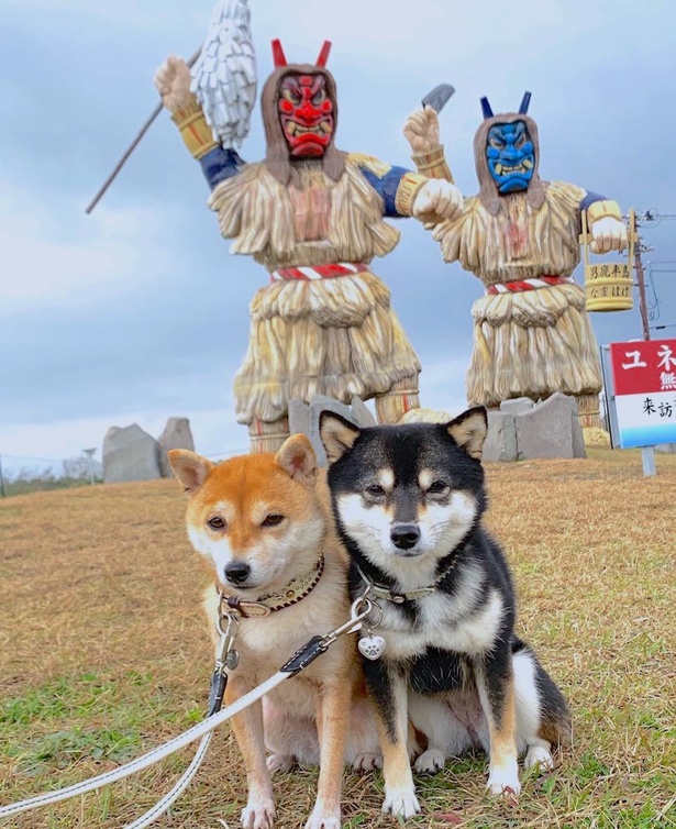 男鹿半島のなまはげにも動じない強心臓のなつ＆ふゆ