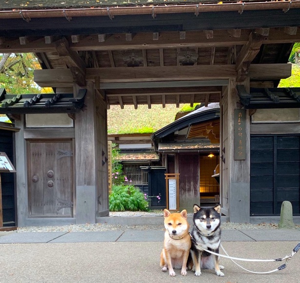 角館歴史村・青柳家の前でかしこまって記念撮影