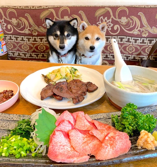 目の前の牛タンに狙いを定める2匹